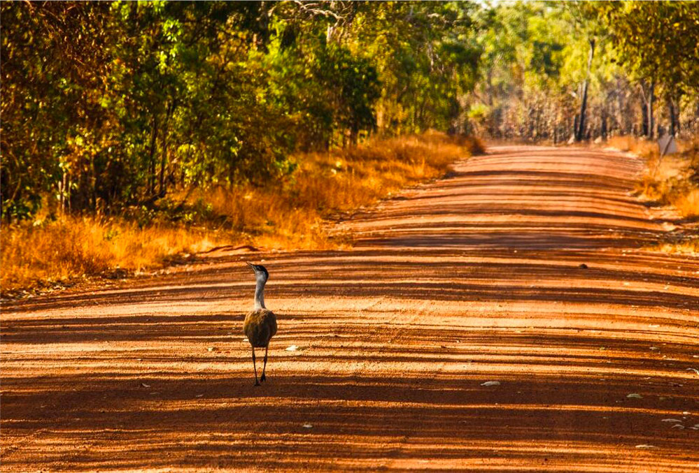 Litchfield National Park