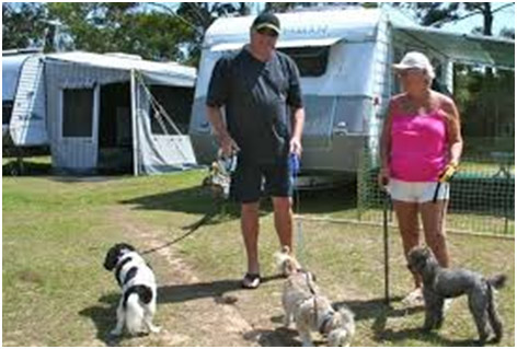 Pet within the bounds of the motorhome or caravan